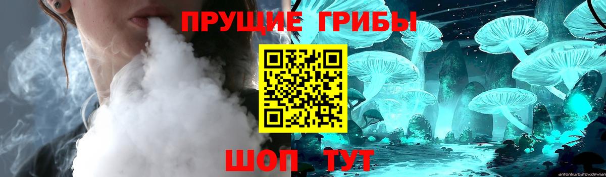 Псилоцибиновые грибы мухоморы  Вход с VPN  Ивантеевка  Псилоцибиновые грибы прущие грибы 